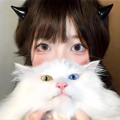 爱在猫咪疗愈时
